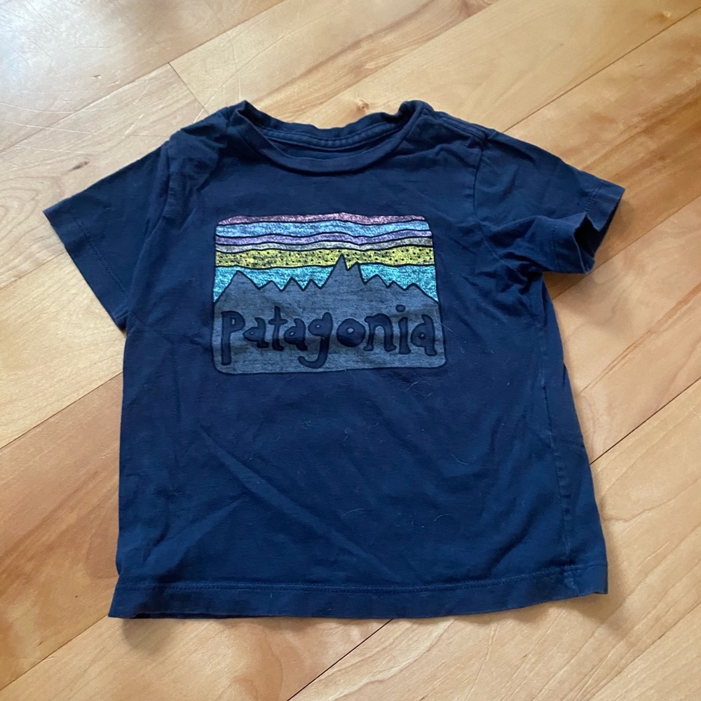 Patagonia organic cotton tee - EUC - 12-18 Months